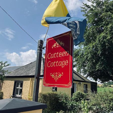 Cutteen Cottage Tulla Экстерьер фото